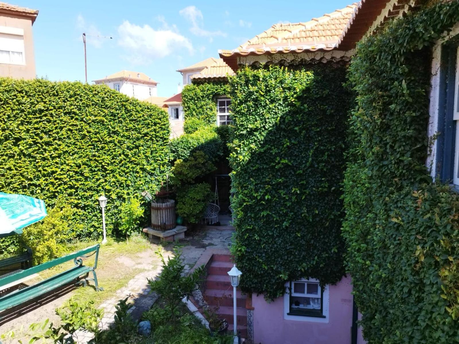 Sea Villa Rosa Charm Seaside And Garden Porto Eksteriør billede